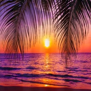 Meet your Posher, Tatyana aka "Hidden 💎 Trophies 🏆"